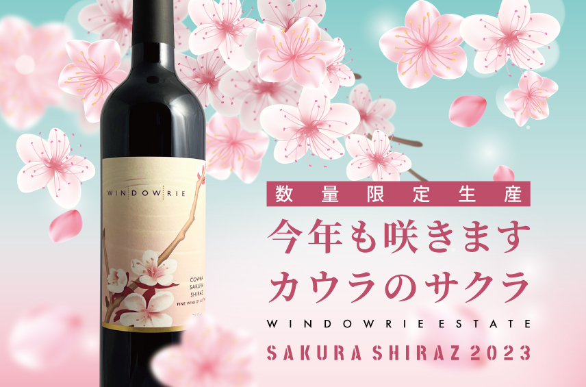 サクラシラーズ2023